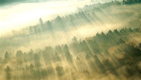 Shedding Light on Circadian Lighting Design 