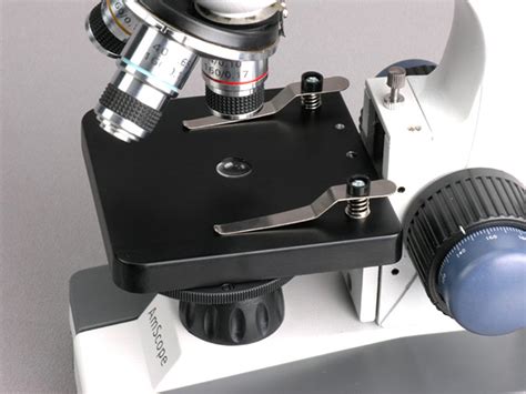 Buy Amscope Compound Monocular Microscope X X Magnification