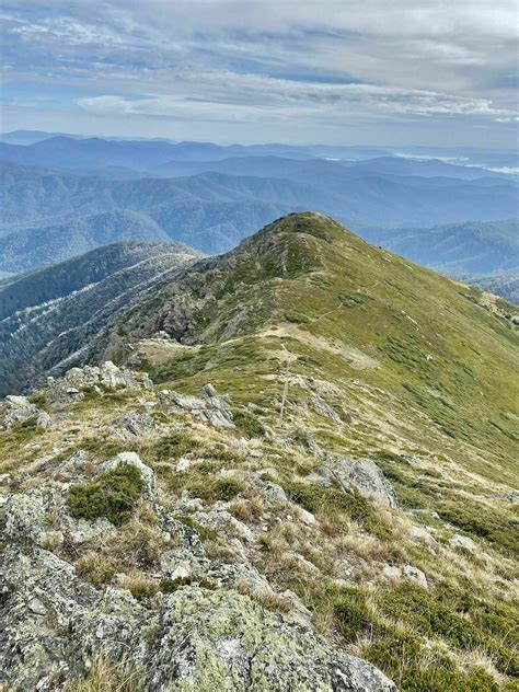 Mount Bogong Loop | Trail Navigator Victoria