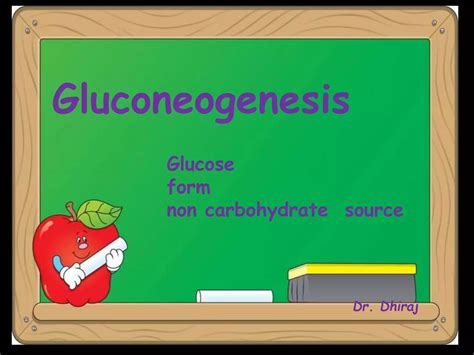 Class 4 Gluconeogenesis Ppt