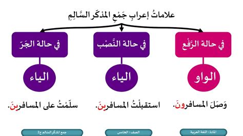 الصف الخامس اللغة العربية جمع المذكر السالم ج2 Youtube