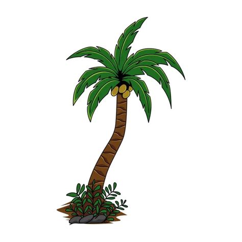 Cartoon Palm Trees With Coconuts