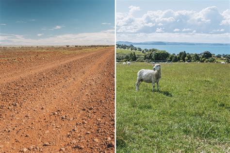 New Zealand vs Australia: The Main Differences - Flip Flop Wanderers