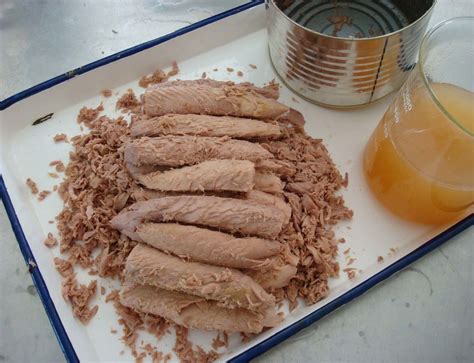 Delicious Skipjack Tuna Canned Bonito Loin In Soybean Oil 1880g For