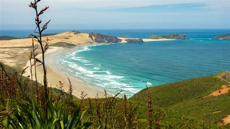 Visit Cape Reinga: 2022 Travel Guide for Cape Reinga, Northland | Expedia