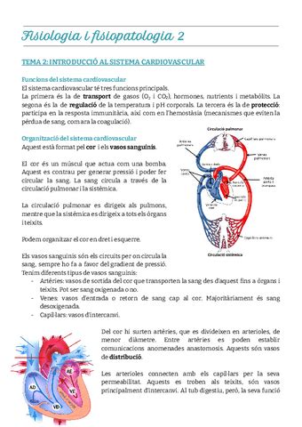 Tema Introducci Al Sistema Cardiovascular Pdf