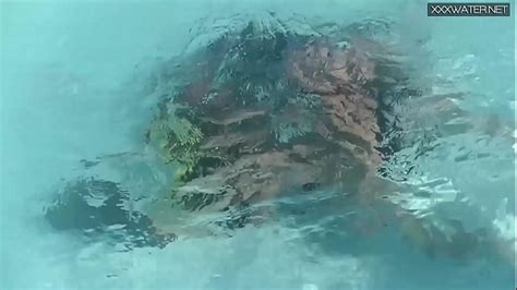 Underwater Sex Videos XVIDEOS