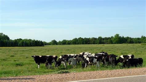 P1060178r1 Kronenwetter Wisconsin June 2011 Economic Devel Flickr