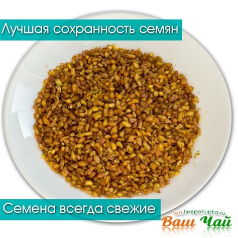Гречишный чай купить - Особый сорт. Доставка - Москва и регионы.