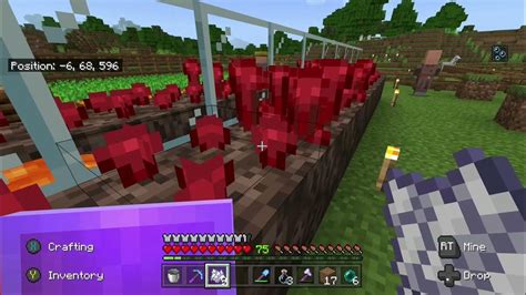 Minecraft How To Make Nether Wart Grow Faster Youtube