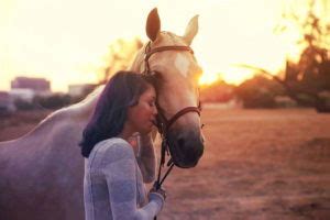 15 Horse Photography Tips for Beautiful Photos