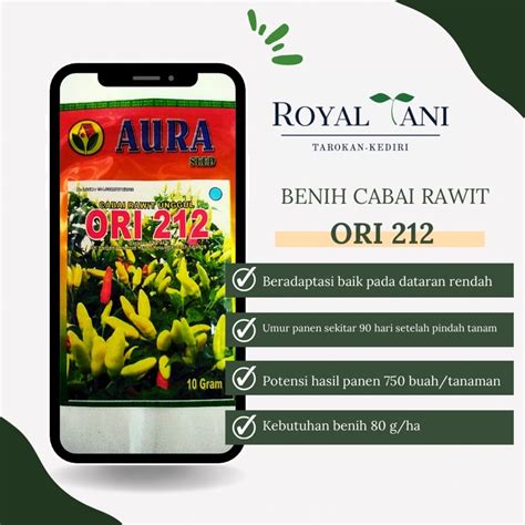 Jual ORI 212 BENIH CABE RAWIT 10 Gr Shopee Indonesia