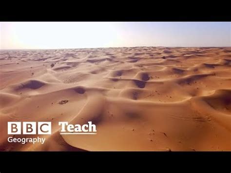 Desert Ecosystems: Biodiversity and Adaptation