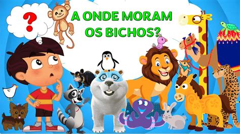 A Onde Moram Os Animais Os Animais E Seu Habitat Educa O Infantil