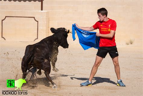 X Toros Capea En Finca La Morera Fuentelencina