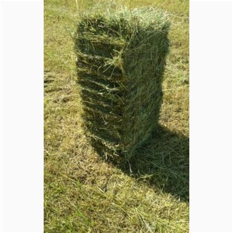 Продам сіно в тюках, купити сіно в тюках — Agro-Ukraine