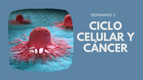 Ciclo Celular y Cáncer V uDocz