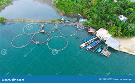 Fish Farm With Cages For Fish And Shrimp Top View Fish Cage For