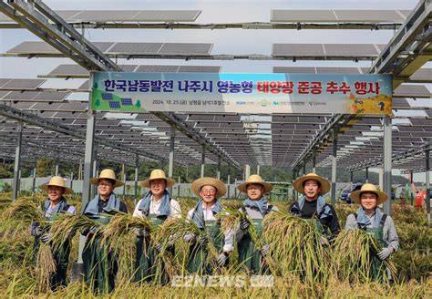 남동발전 나주 남석 영농형 태양광발전소 아래 벼 추수