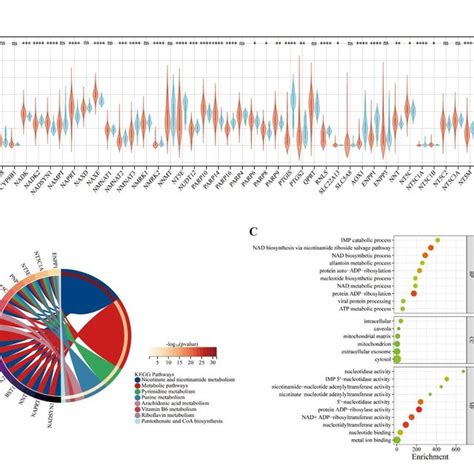 Identification Of Degs Related To Nad Metabolism Of Tcga Datasets