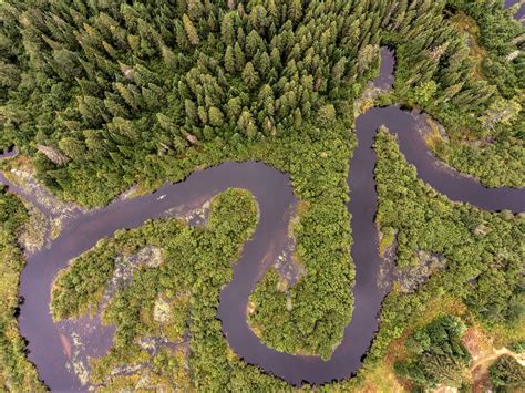 Meandering-river – Intact Centre on Climate Adaptation