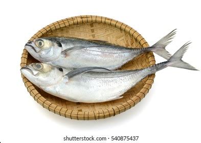 Fish Basket: Over 42,530 Royalty-Free Licensable Stock Photos | Shutterstock