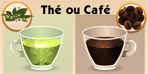 Thé ou Café Lequel est le meilleur Le Temps du Thé