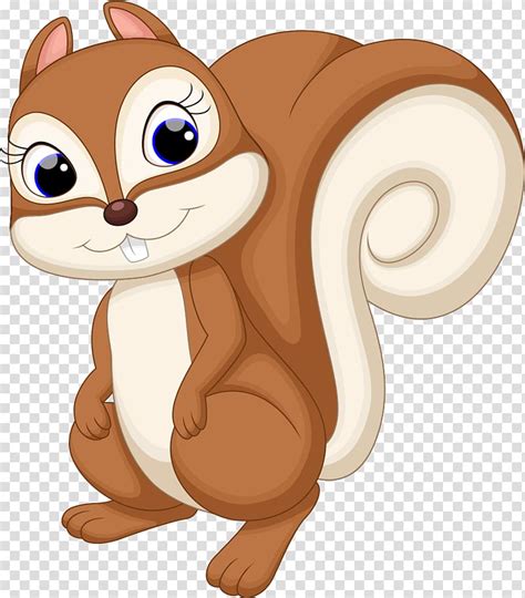 Squirrel Illustration Squirrel Cartoon Cuteness Illustration Cartoon