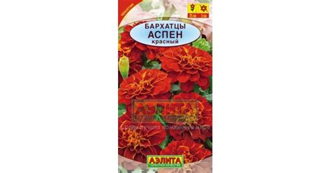 Бархатцы Аспен красный купить в магазине Чистый Мир.