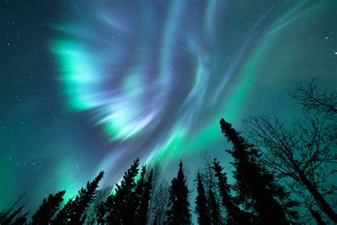 World Famous Aurora Viewing | Explore Fairbanks, Alaska