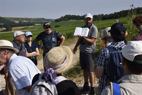 Follow The Guide Aube En Champagne Aube Champagne