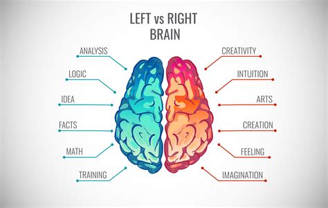 brain science – Jody B. Miller