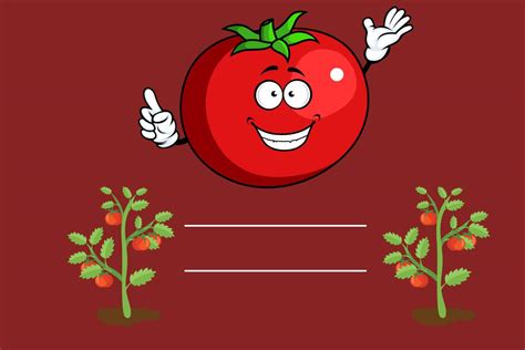 Optimal Tomato Plant Spacing for Maximum Yield: A Brief Guide ...