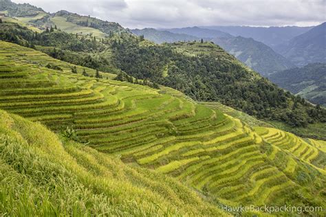 Longji Rice Terraces - HawkeBackpacking.com