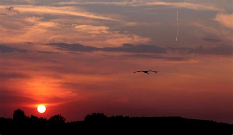 Ingyenes képek tenger horizont felhő ég nap Napkelte napnyugta