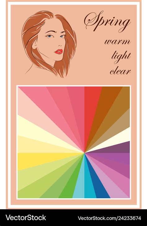 Seasonal Color Analysis Spring Palette Royalty Free Vector