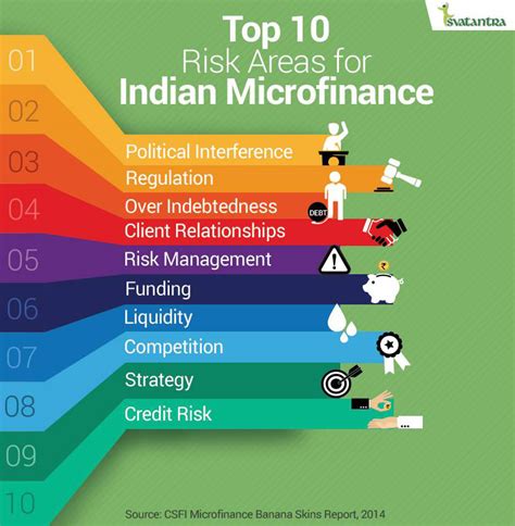 Insights Microfinance Institution Mfi