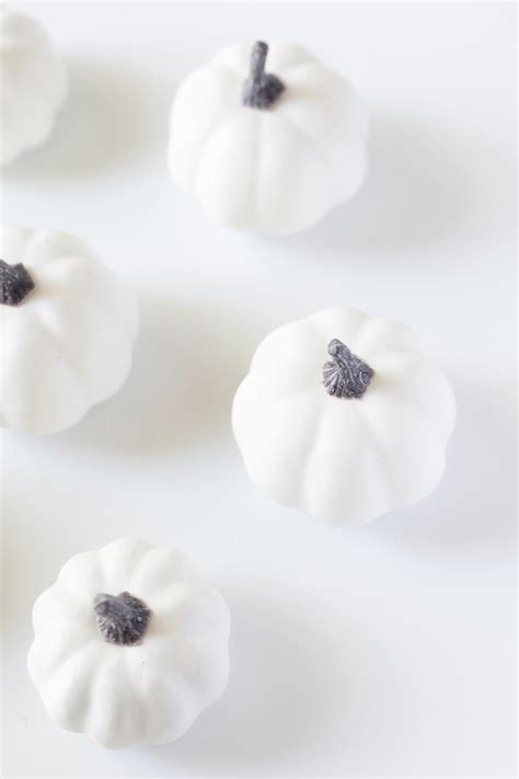 White Pumpkins on White Surface · Free Stock Photo