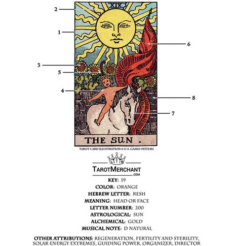 Sun Tarot Card Meanings The Sun Tarot Card Tarot Card Meanings The