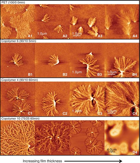 Sulfonamide Crystals
