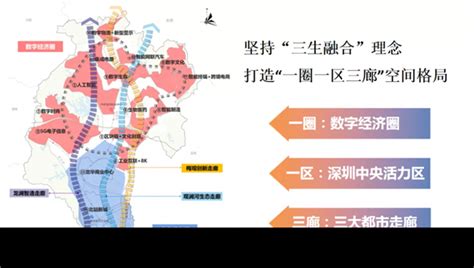 「數字龍華」再添「新軍」，35億註冊成立區屬產投公司 香港商報