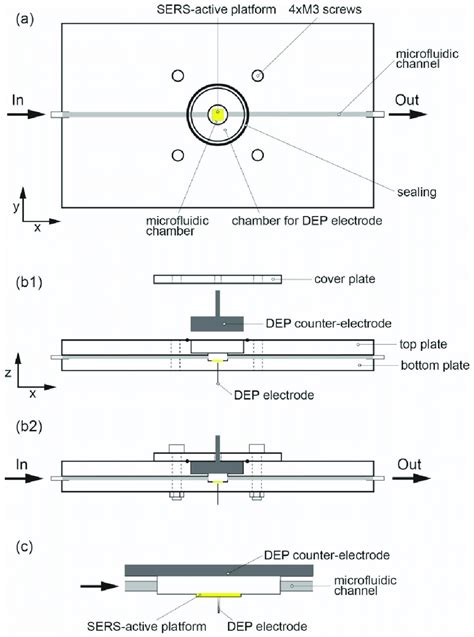 Schematic View Of The Microfluidic Chip For The Dielectrophoretic