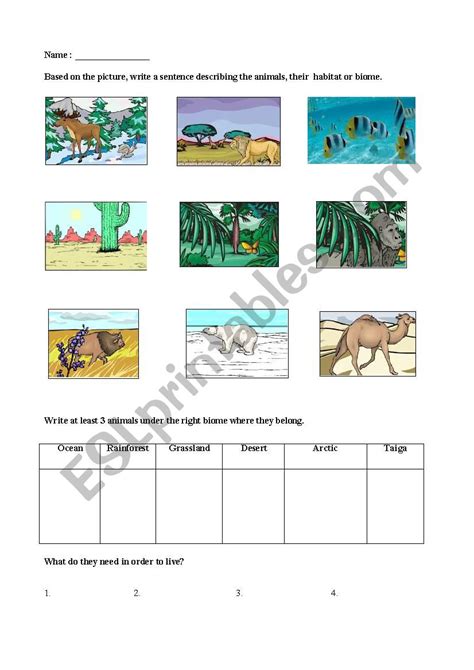 Free biomes worksheet for elementary students, Download Free biomes ...