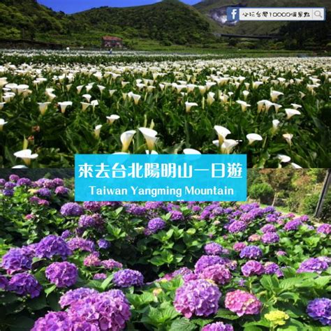 【台北陽明山一日遊】踏青、賞花好去處！一年四季都適合去～安排假期一起go！‎ 必玩台灣10000個景點