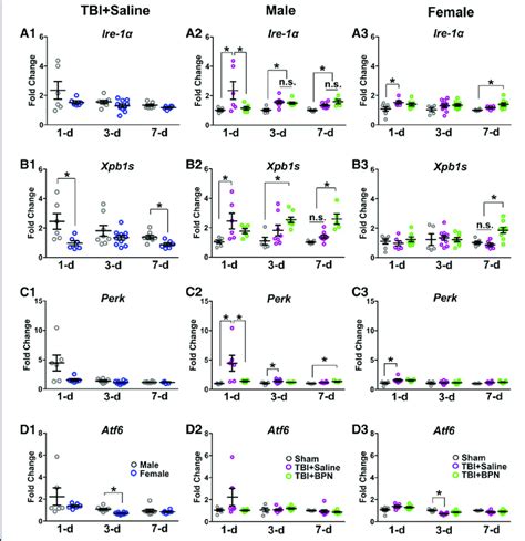 Mrna Expression Of Ire 1a Xpb1s Perk And Atf6 In The Injured Brain