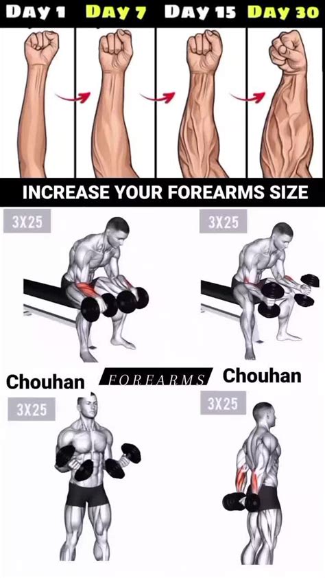 Strengthen Your Grip: Best Forearm Workout for Men! in 2025 | Forearm