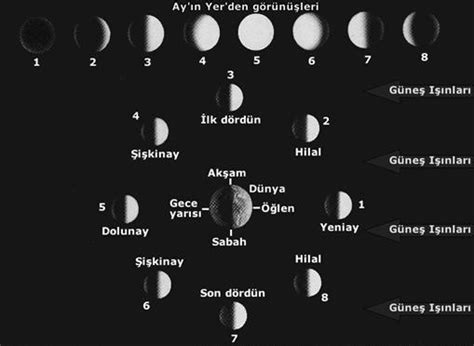 5 Sınıf Fen Bilimleri Ders Kitabı Cevapları Meb Yayınları Sayfa 41