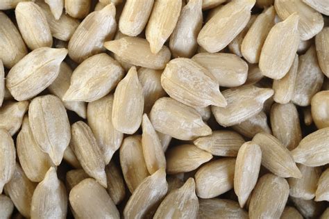 Organic Raw Hulled Sunflower Seeds | Unsalted Sunflower Seeds ...
