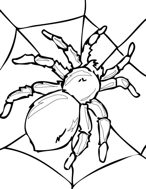 Tarantula Coloring Pages Best Coloring Pages For Kids