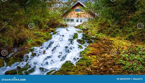 Romania Cascada Izvoare Springs Waterfall Stock Image Image Of